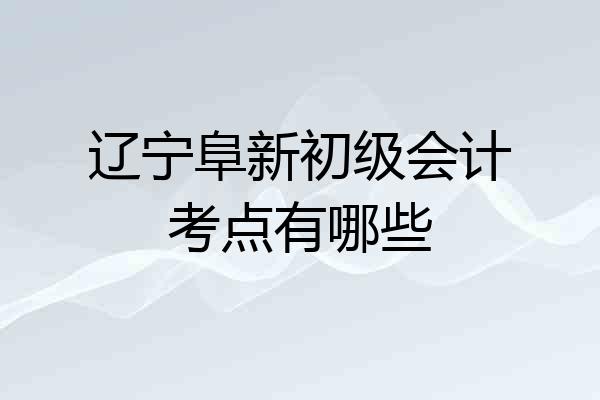 辽宁阜新初级会计考点有哪些