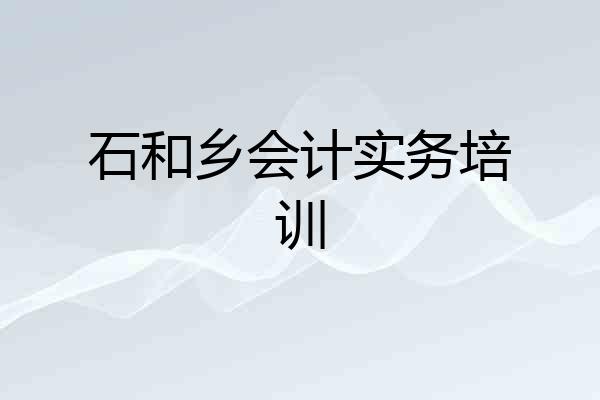 石和乡会计实务培训