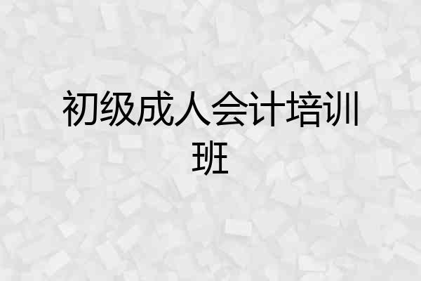 初级成人会计培训班