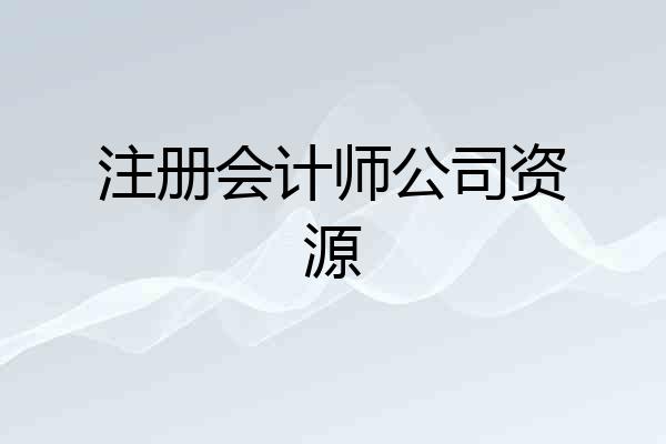 注册会计师公司资源
