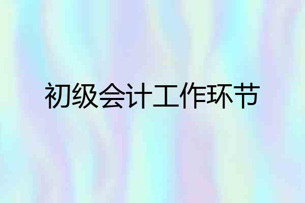 初级会计工作环节