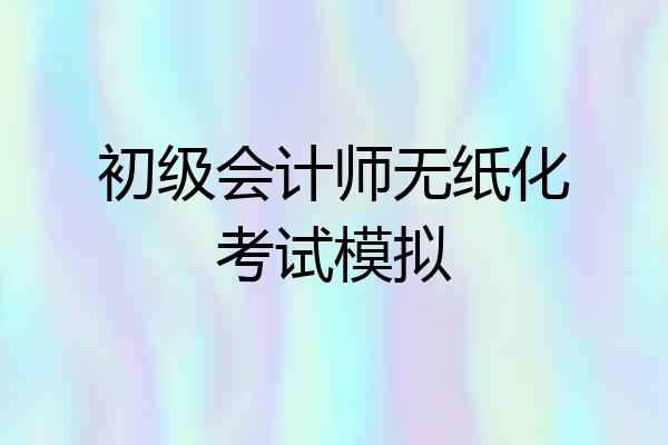 初级会计师无纸化考试模拟