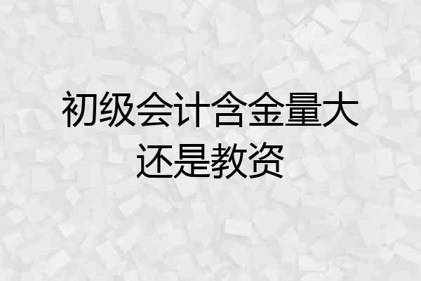 初级会计含金量大还是教资