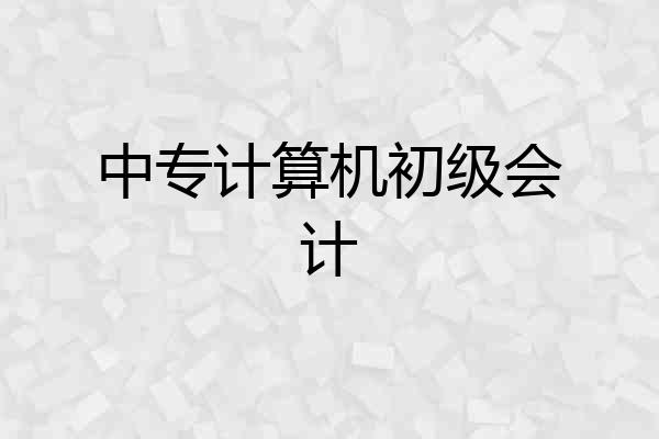 中专计算机初级会计