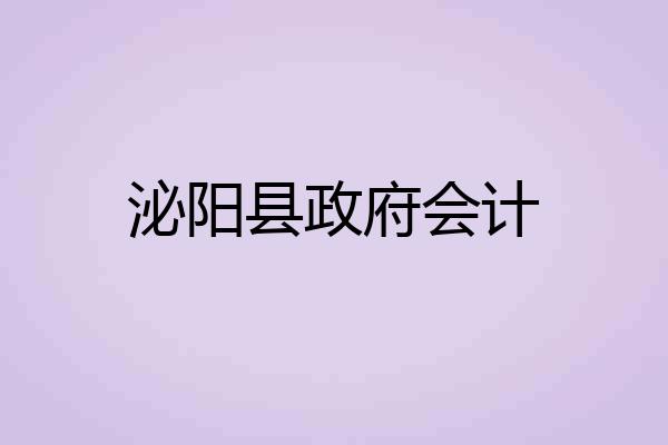 泌阳县政府会计