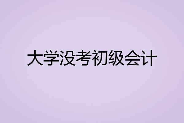 大学没考初级会计