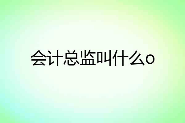 会计总监叫什么o
