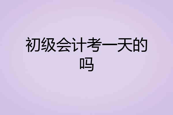 初级会计考一天的吗