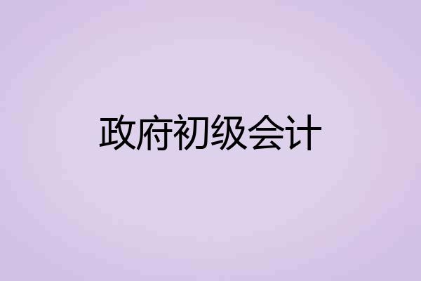 政府初级会计