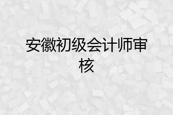 安徽初级会计师审核