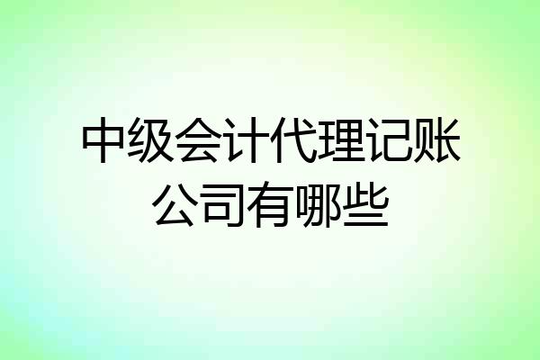 中级会计代理记账公司有哪些