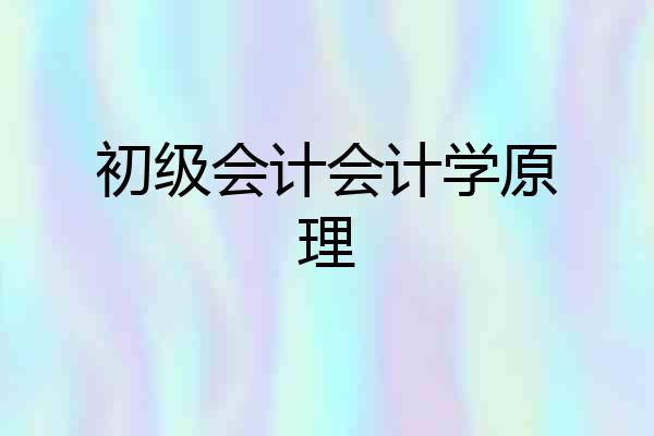初级会计会计学原理