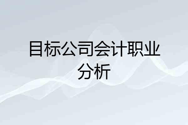 目标公司会计职业分析