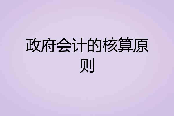 政府会计的核算原则