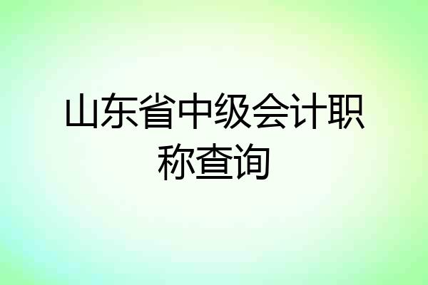 山东省中级会计职称查询
