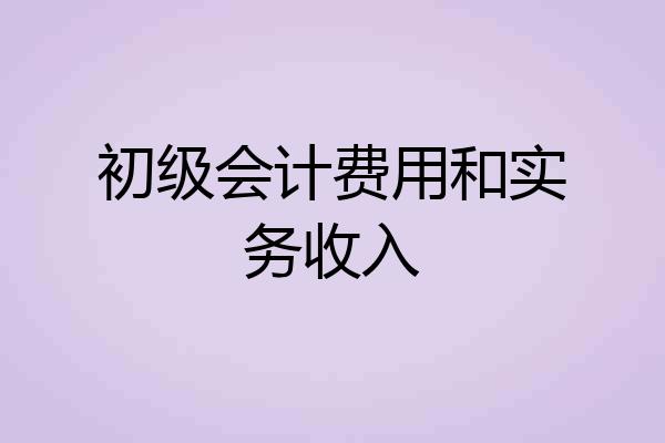 初级会计费用和实务收入