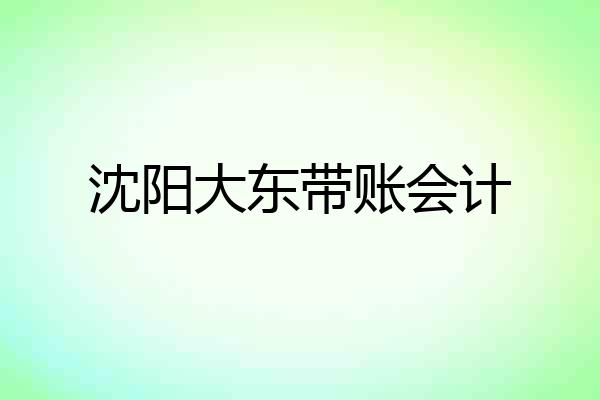 沈阳大东带账会计