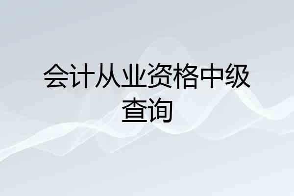 会计从业资格中级查询