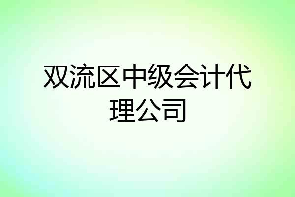 双流区中级会计代理公司
