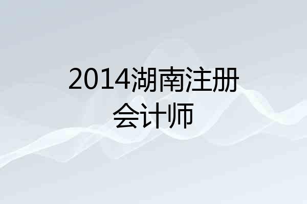 2014湖南注册会计师
