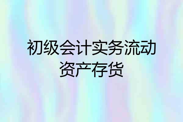 初级会计实务流动资产存货