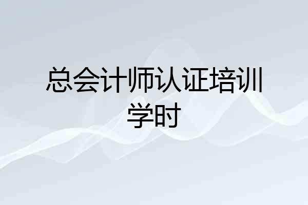 总会计师认证培训学时