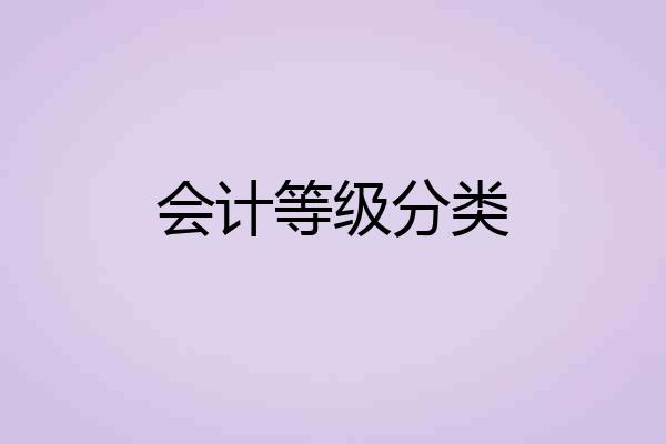 会计等级分类