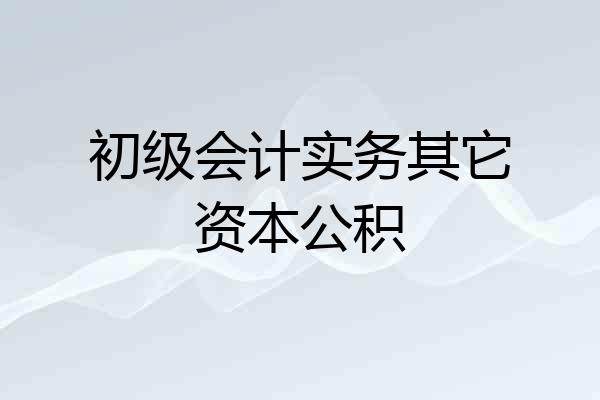初级会计实务其它资本公积