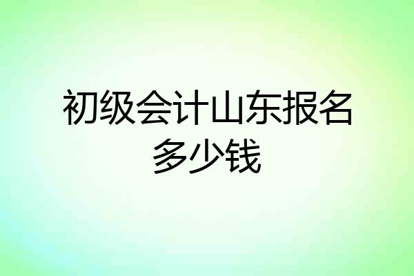 初级会计山东报名多少钱