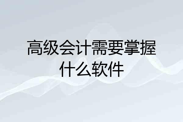 高级会计需要掌握什么软件
