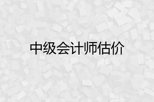 中级会计师估价