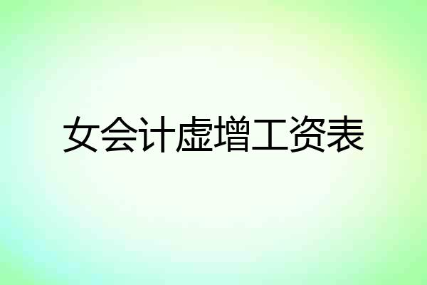 女会计虚增工资表