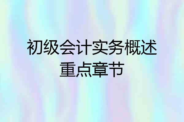 初级会计实务概述重点章节