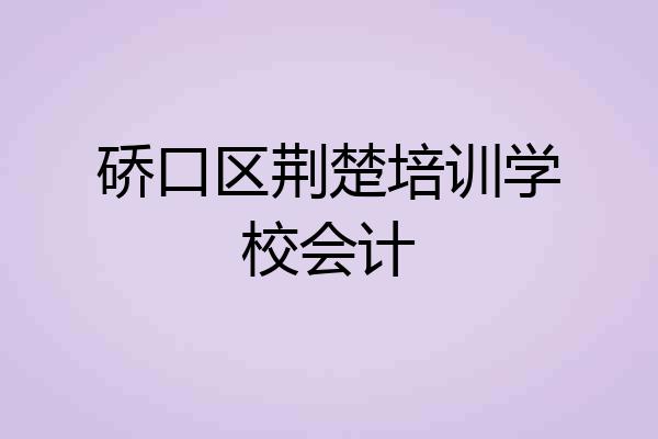 硚口区荆楚培训学校会计