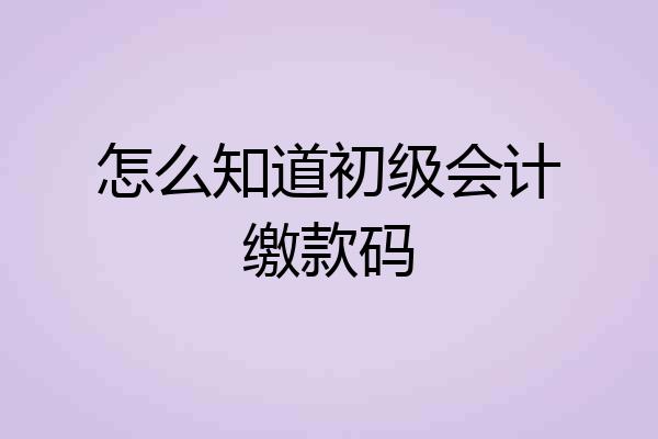 怎么知道初级会计缴款码