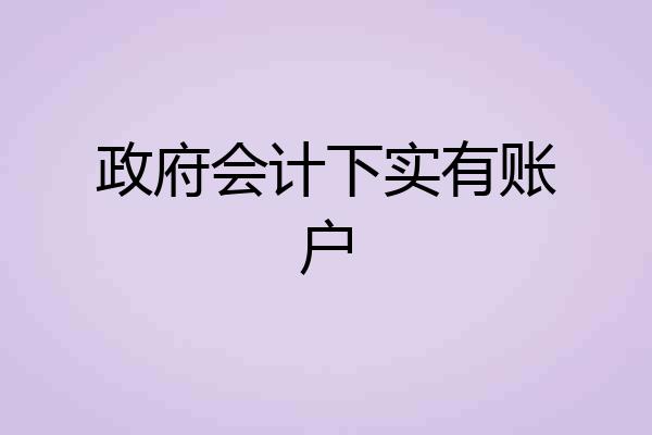 政府会计下实有账户
