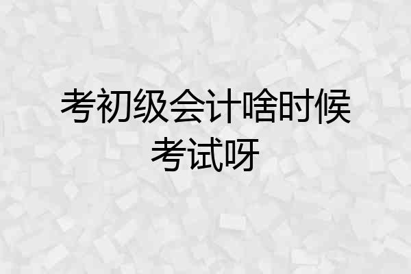 考初级会计啥时候考试呀