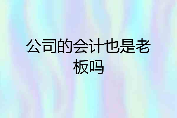 公司的会计也是老板吗