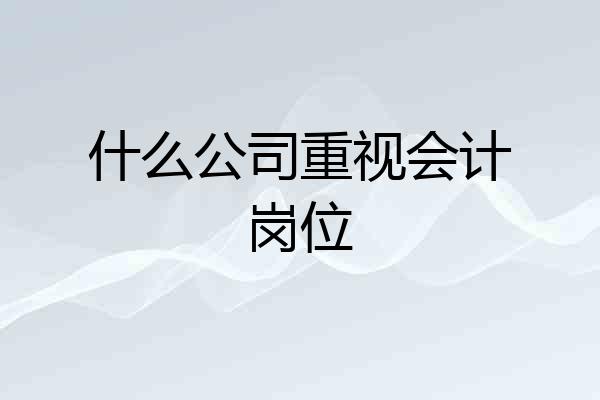 什么公司重视会计岗位