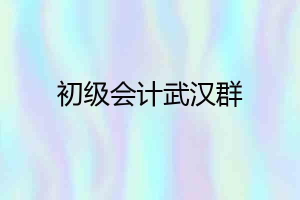初级会计武汉群