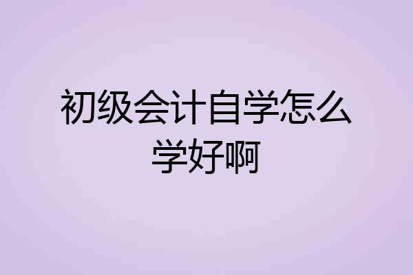 初级会计自学怎么学好啊