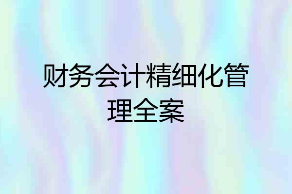 财务会计精细化管理全案
