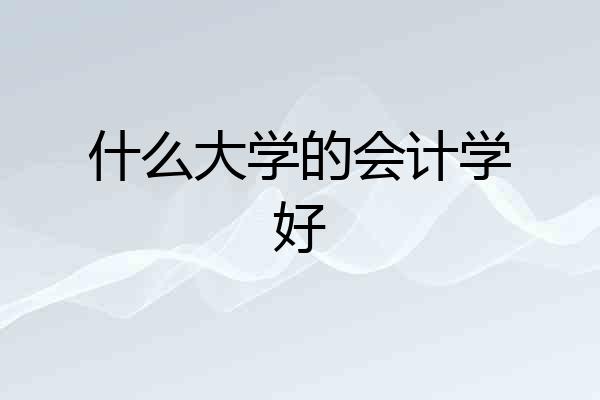 什么大学的会计学好
