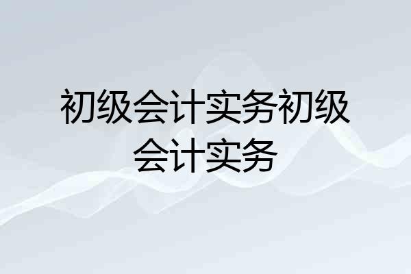 初级会计实务初级会计实务