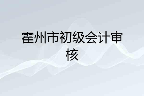 霍州市初级会计审核