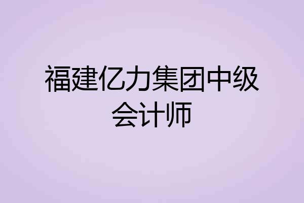 福建亿力集团中级会计师