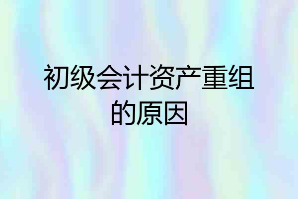 初级会计资产重组的原因