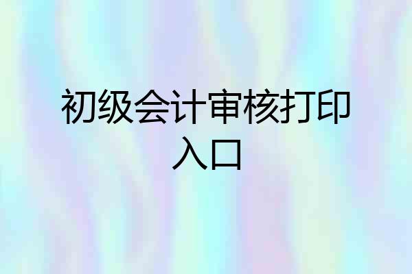 初级会计审核打印入口