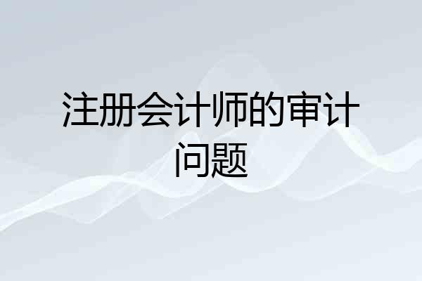 注册会计师的审计问题
