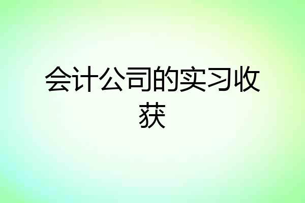 会计公司的实习收获